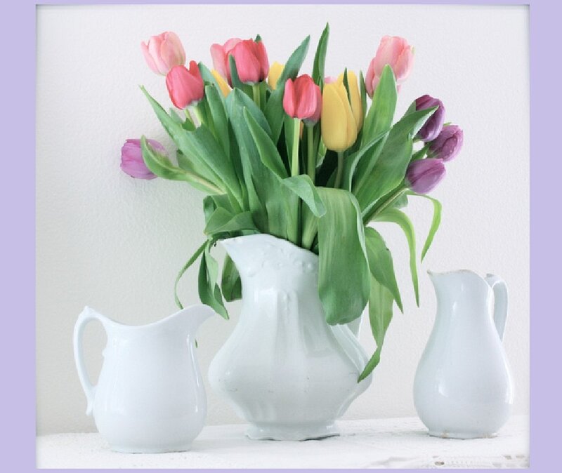 Tulips in White Pitcher — Serene