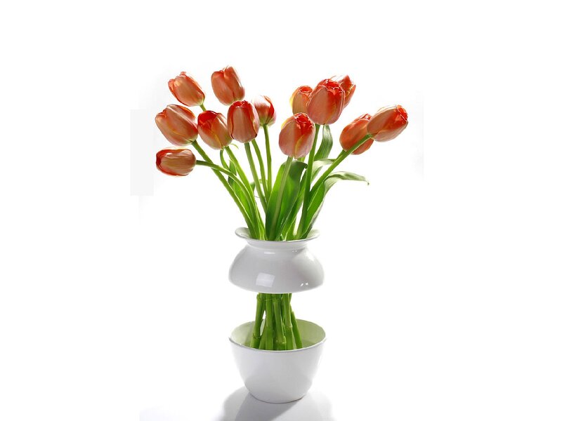 Tulips in White Vase
