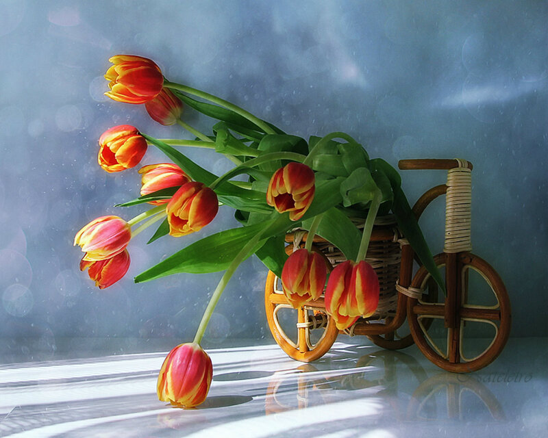 Tulips in Wicker Basket — Red