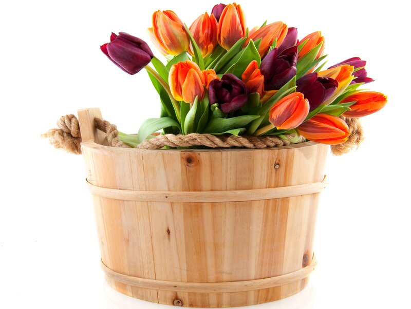 Tulips in Wooden Bucket — Orange