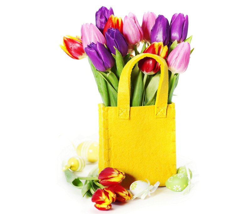 Tulips in Yellow Bag