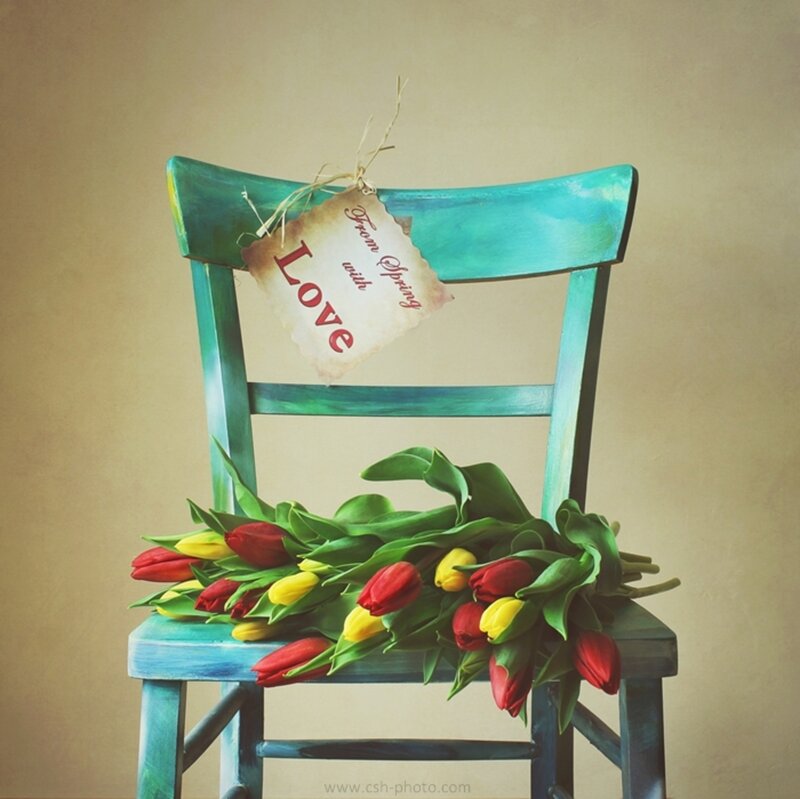 Tulips on a Chair — Green