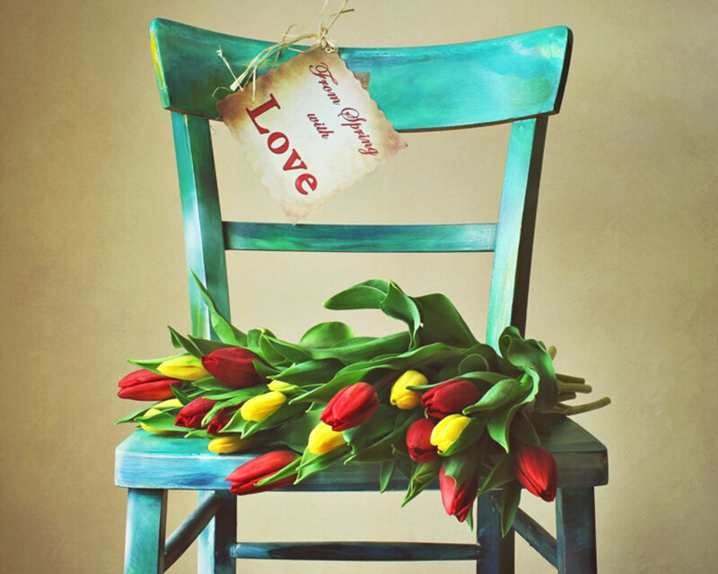 Tulips on a Chair