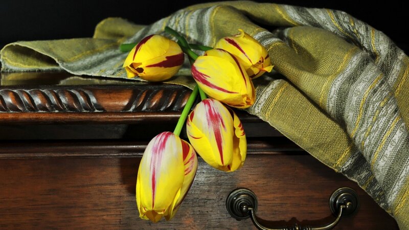 tulips on a wooden chest