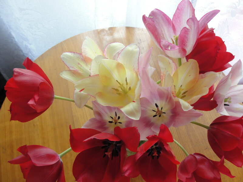 tulips on a wooden table