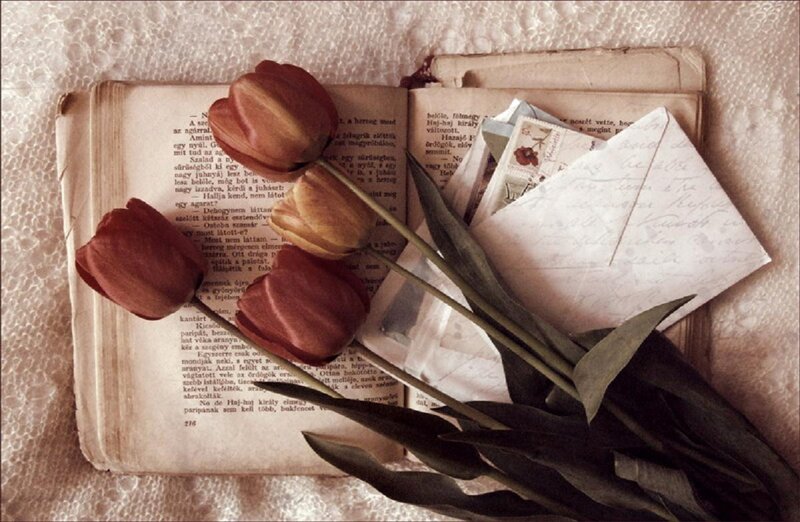 tulips on an old book