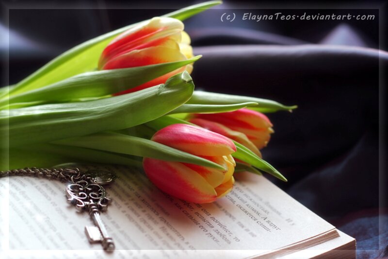 Tulips on Book