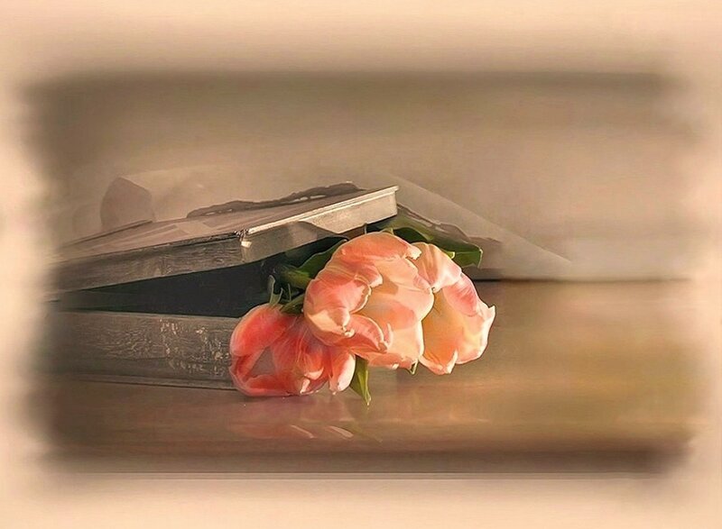 Tulips on Books