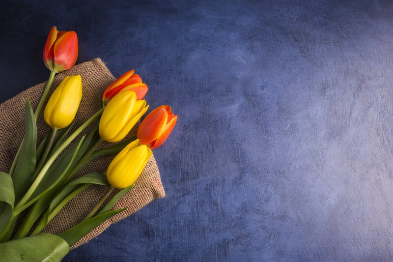 Tulips on Burlap