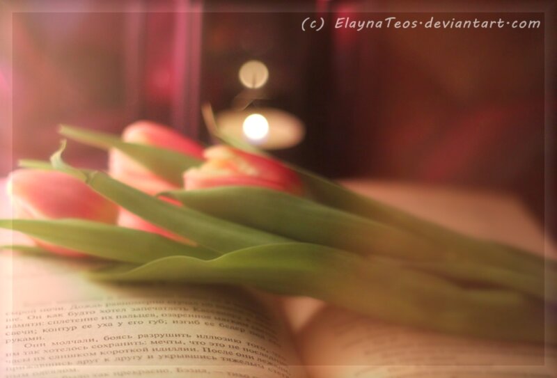 Tulips on Open Book