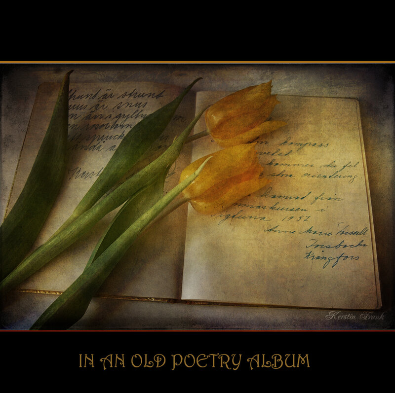 Tulips on Poetry Album