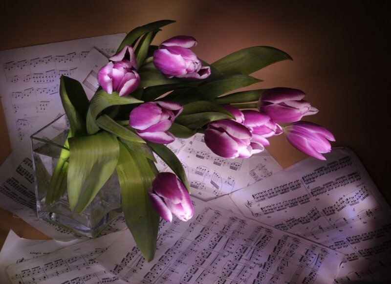 tulips on sheet music
