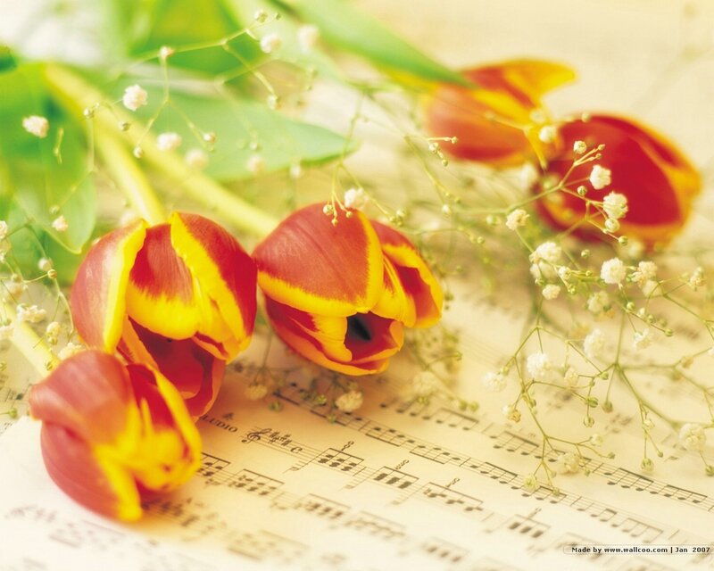 Tulips on Sheet Music — Red
