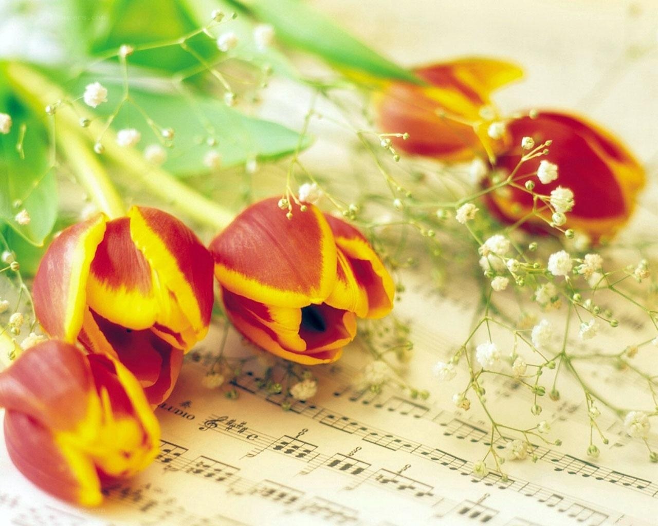 tulips on sheet music