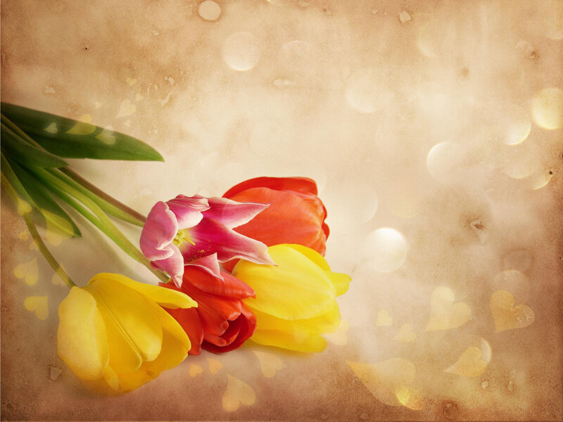 Tulips on Textured Background