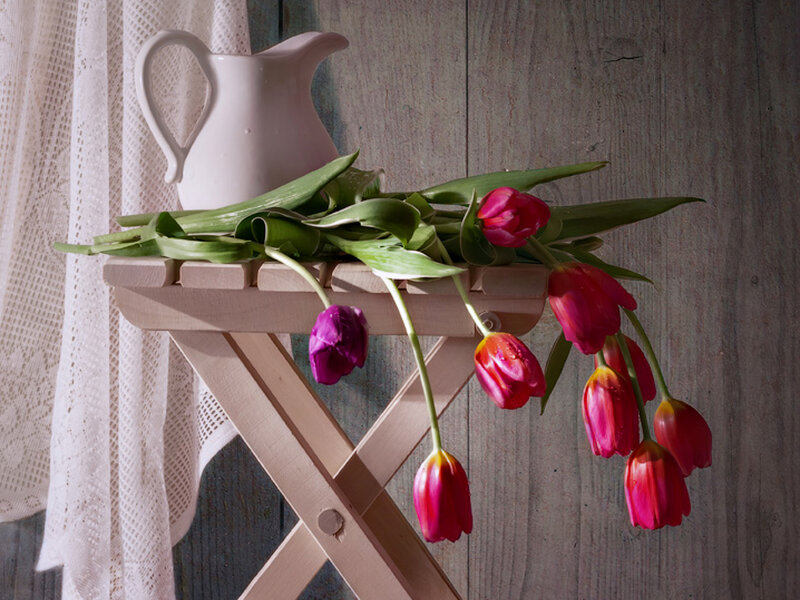 Tulips on Wooden Stool