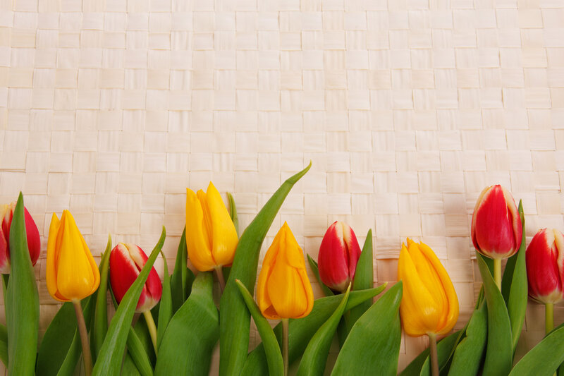 Tulips on Woven Mat