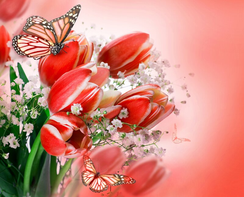 Tulips with Butterflies
