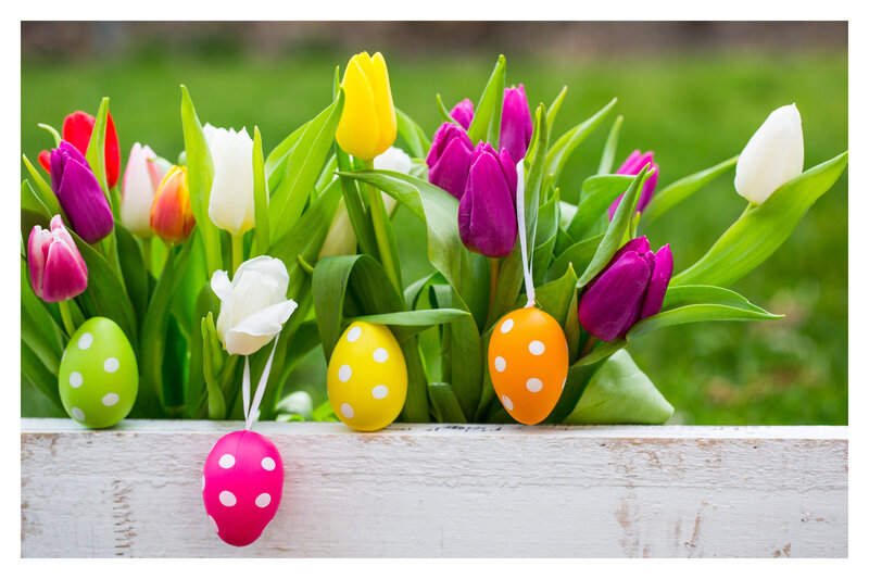 Tulips with Easter Eggs — Green