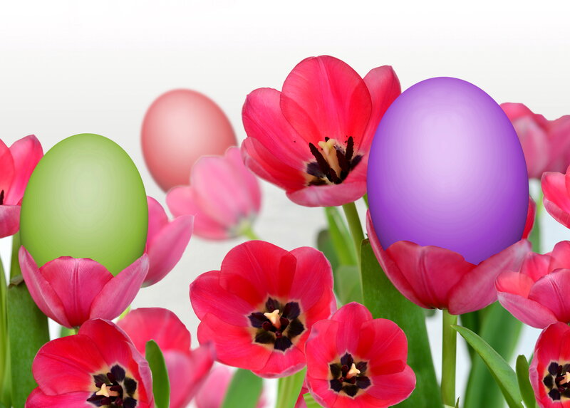 Tulips with Easter Eggs