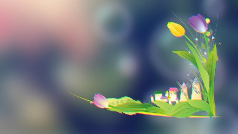 Tulips with Windmills