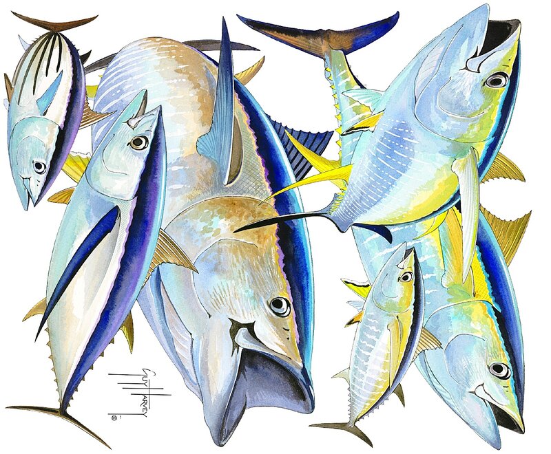 Tuna Fish Illustration