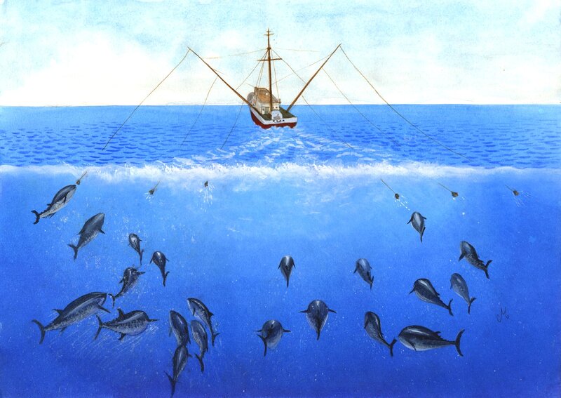 Tuna fishing boat with dolphins