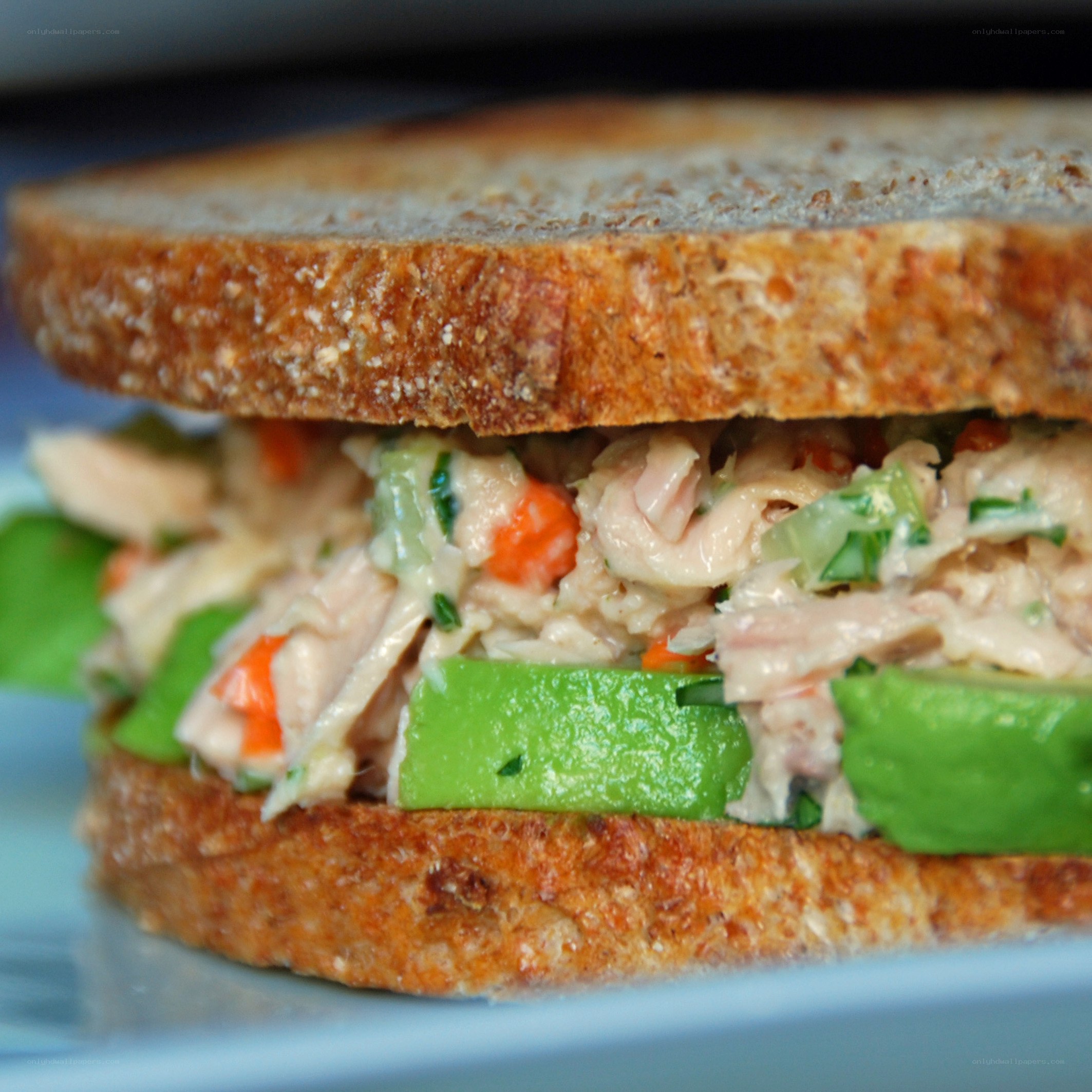 tuna sandwich with avocado