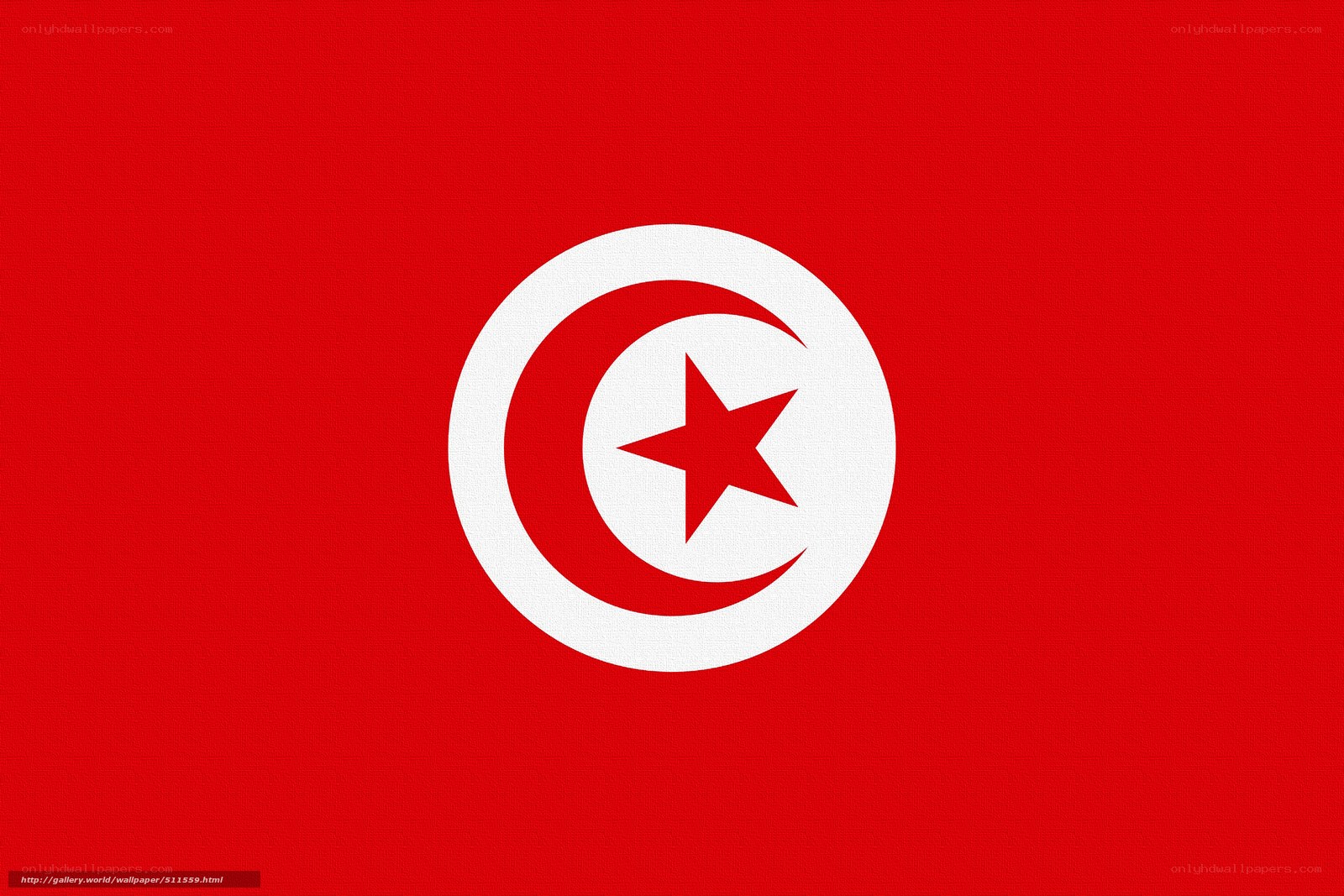 Tunisia flag wallpaper