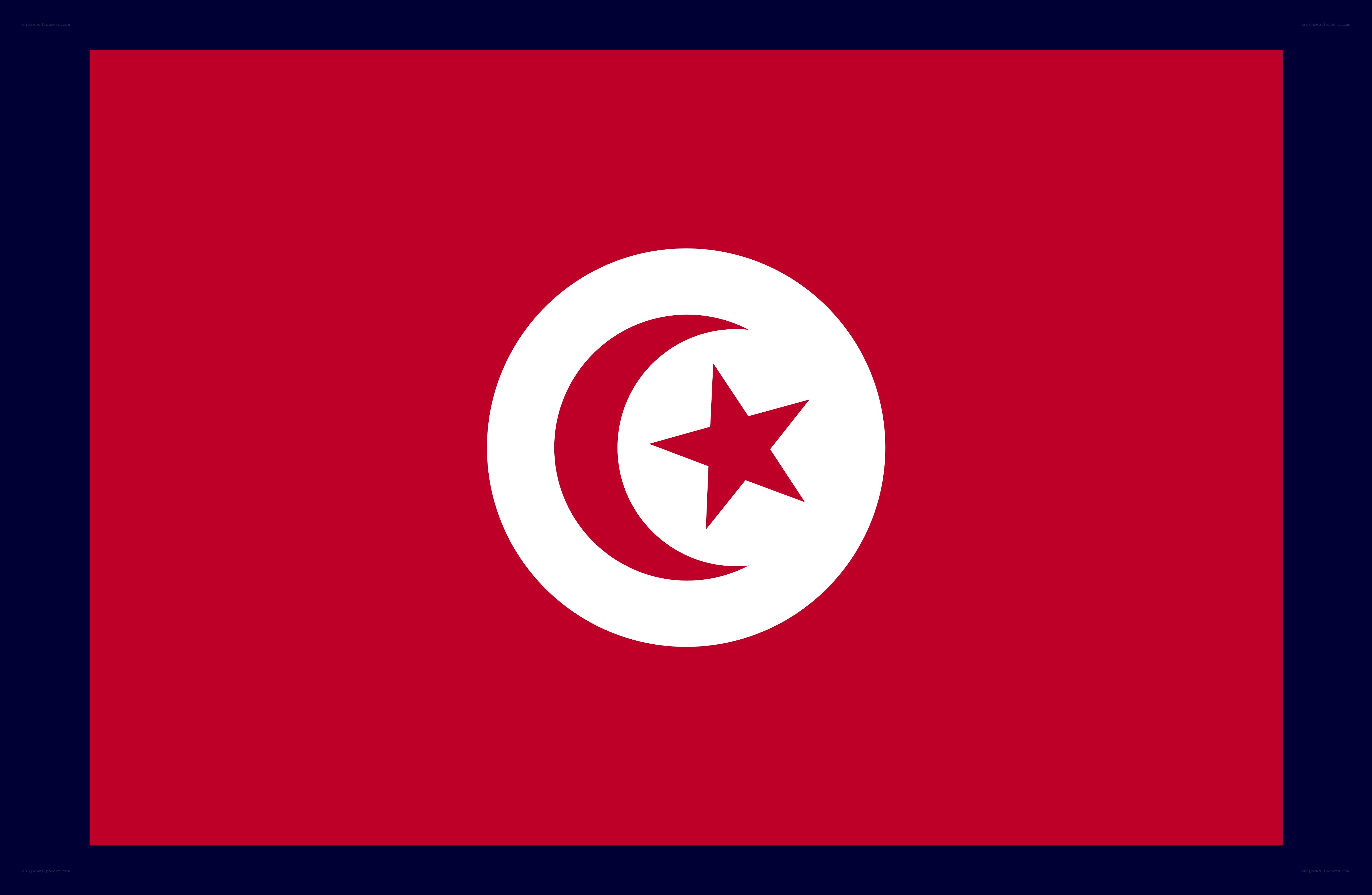 Tunisian flag