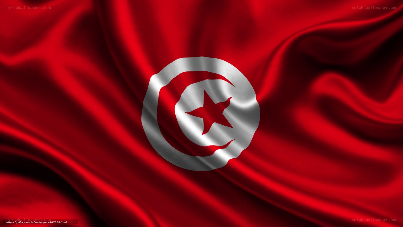 Tunisian flag waving