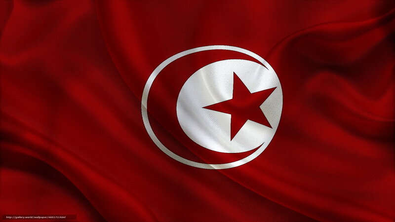 Tunisian flag waving