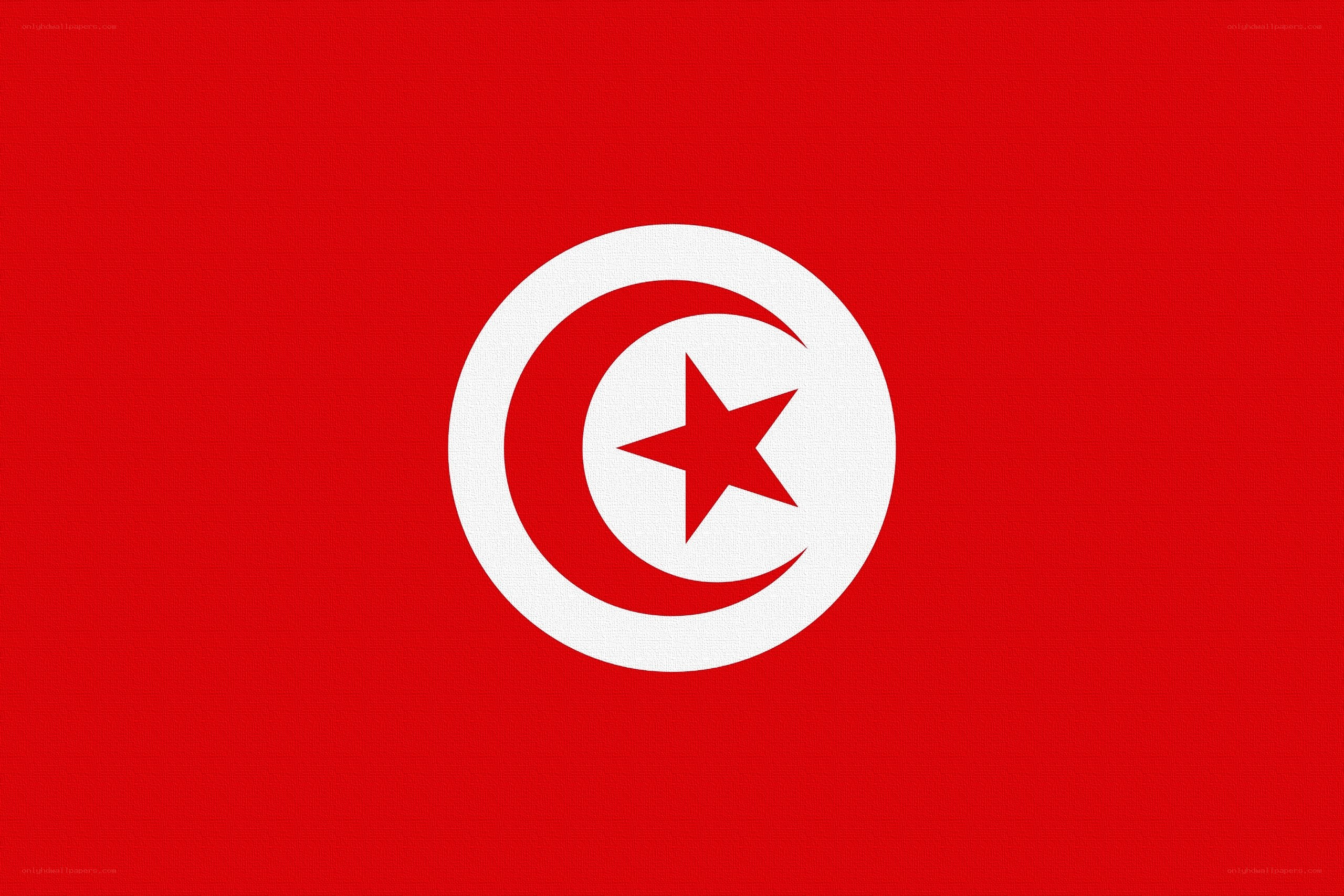 Tunisian flag