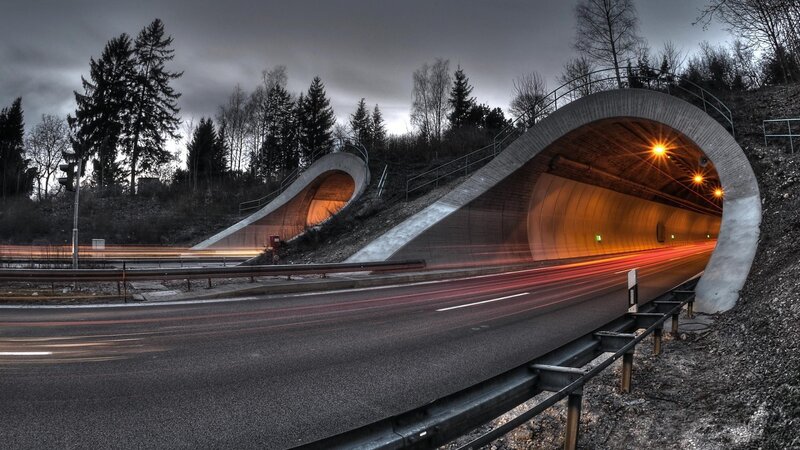 Tunnel Entrance at Dusk — Gray