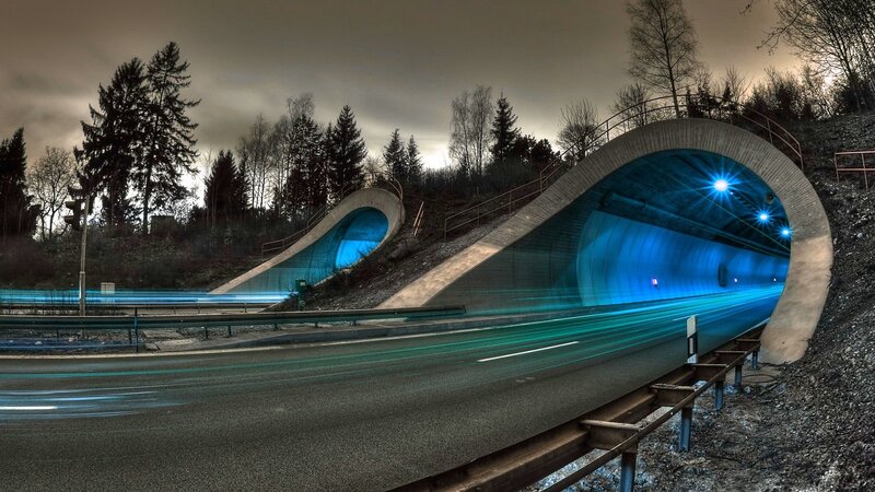 Tunnel Entrance at Night — Blue