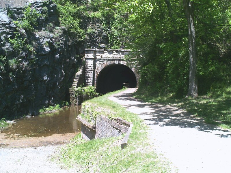 Tunnel Entrance in Forest