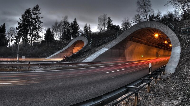 Tunnel Entrance with Light Trails — Gray