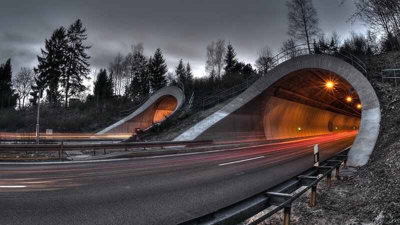 Tunnel entrance with light trails