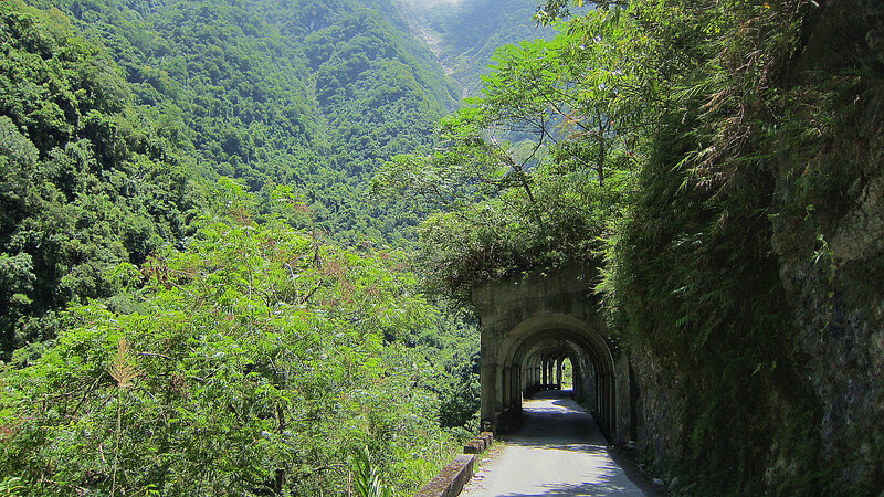 Tunnel in Forested Valley