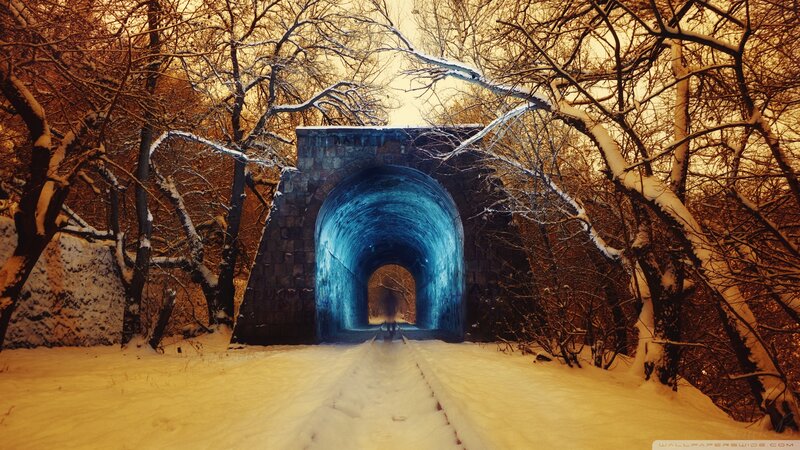 Tunnel in Snowy Forest