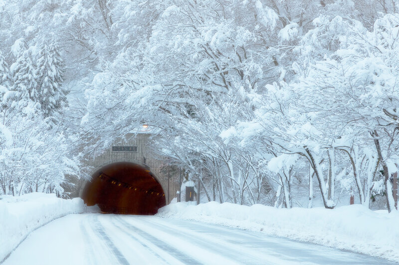Tunnel in Snowy Forest — White