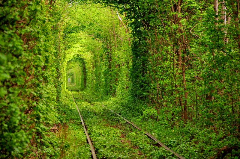 Tunnel of Love Railway