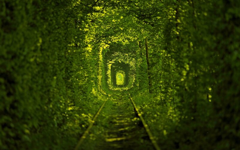 Tunnel of Love