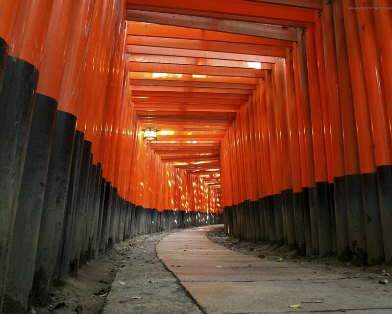 Tunnel of orange gates