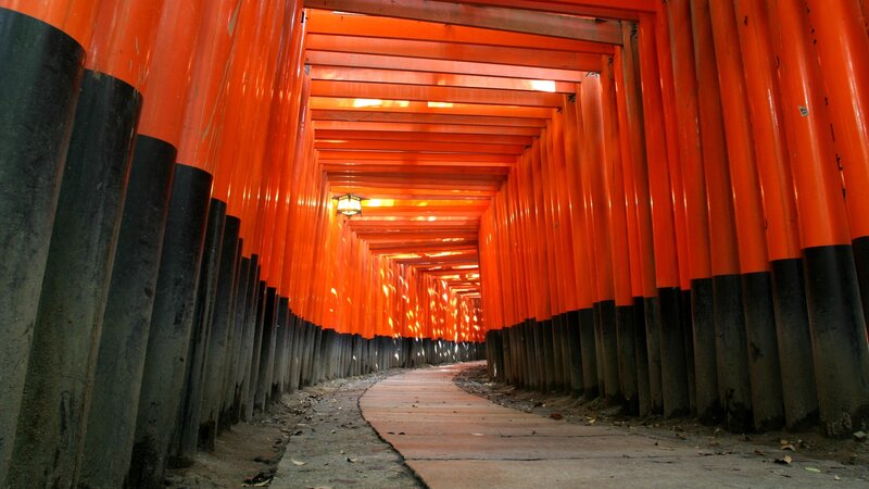 tunnel of red gates