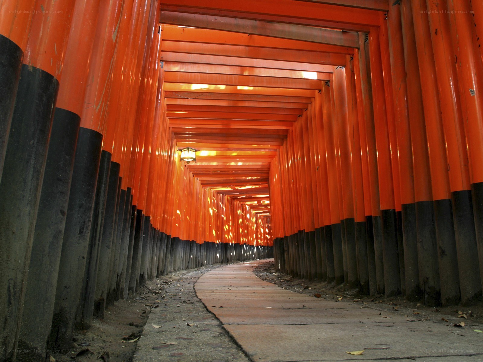 tunnel of red gates