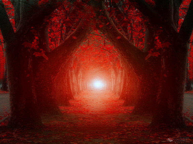 Tunnel of Red-leafed Trees