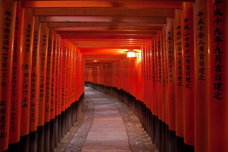 tunnel of red torii gates