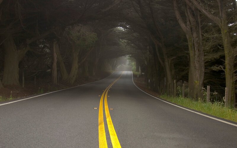 tunnel of trees road