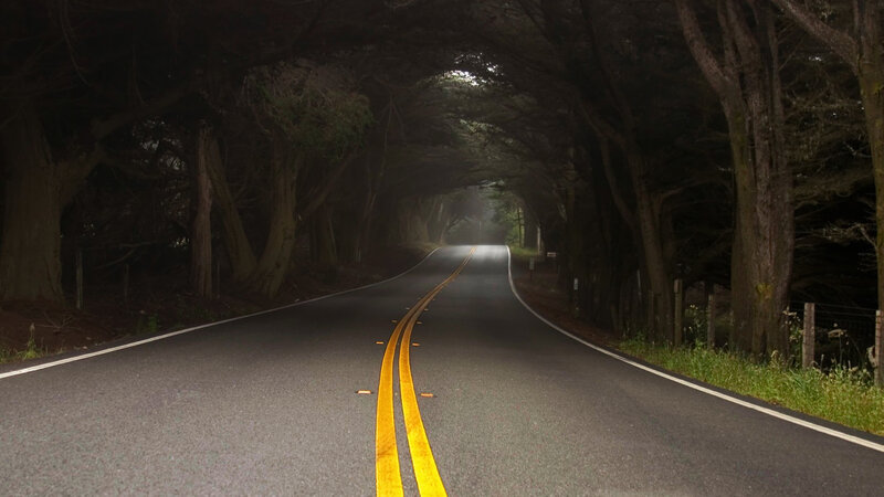 tunnel of trees road